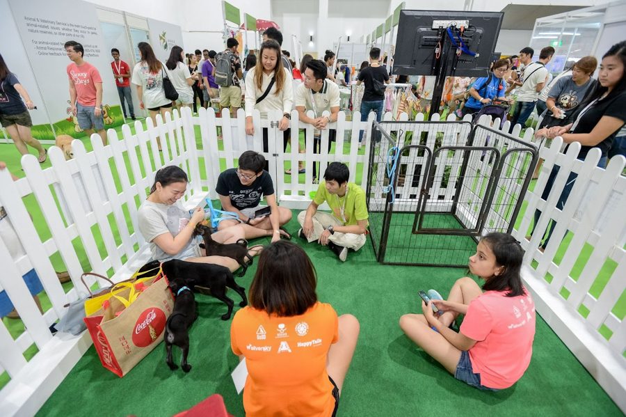 Peopla at the Adoption Drive hosted at Pet Expo 2019