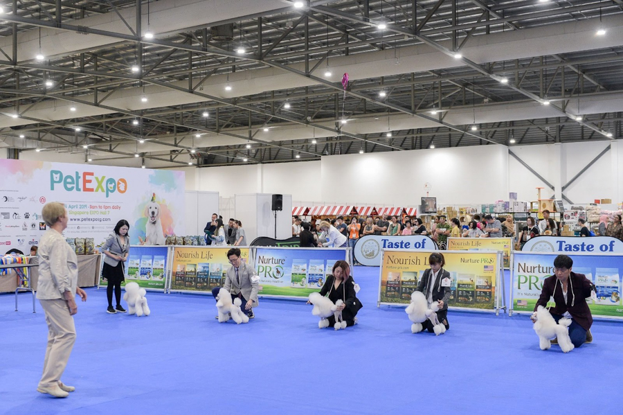 Participants in a dog competition at Pet Expo 2019