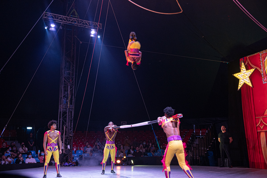 Circus performers doing aerial tricks