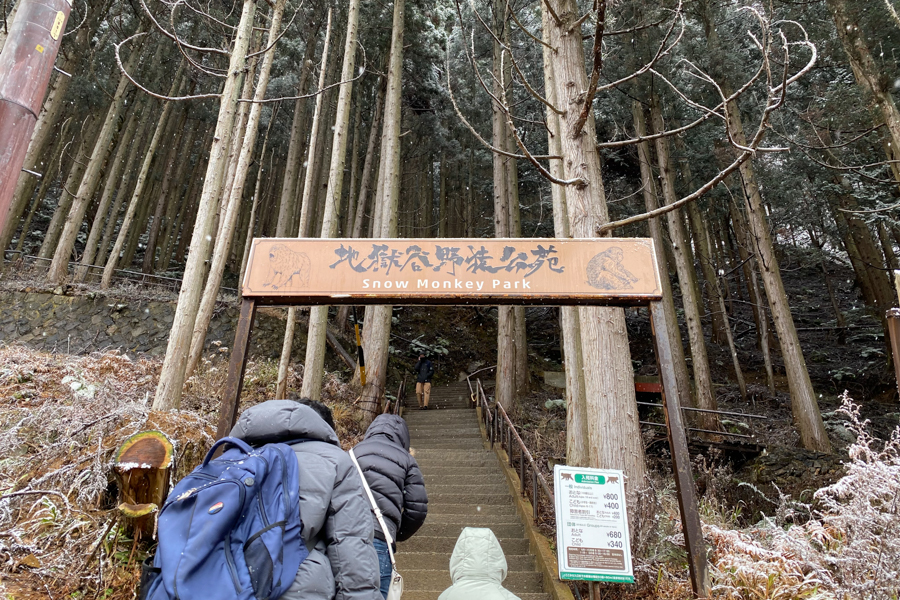 Climb to Snow Monkey Park