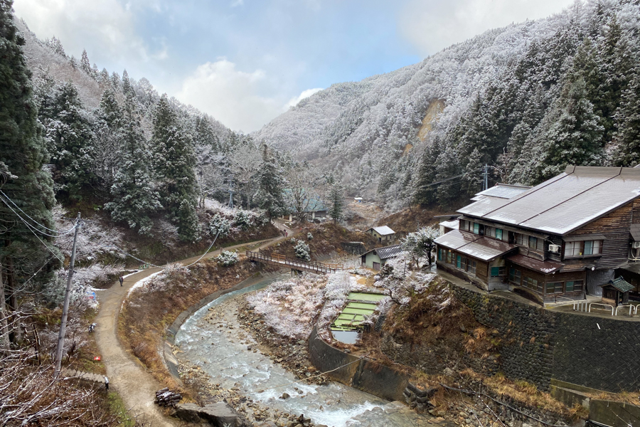 View from the Top of Snow Monkey Park