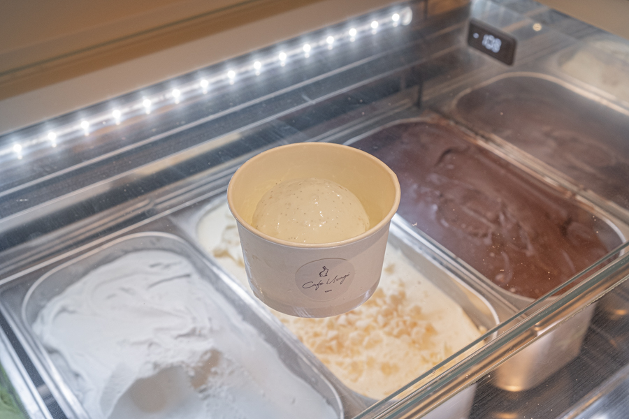 Japanese Flavoured Handcrafted Ice Cream in Hokkaido Milk and Vanilla