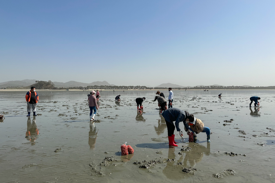 Gochang Mudflats