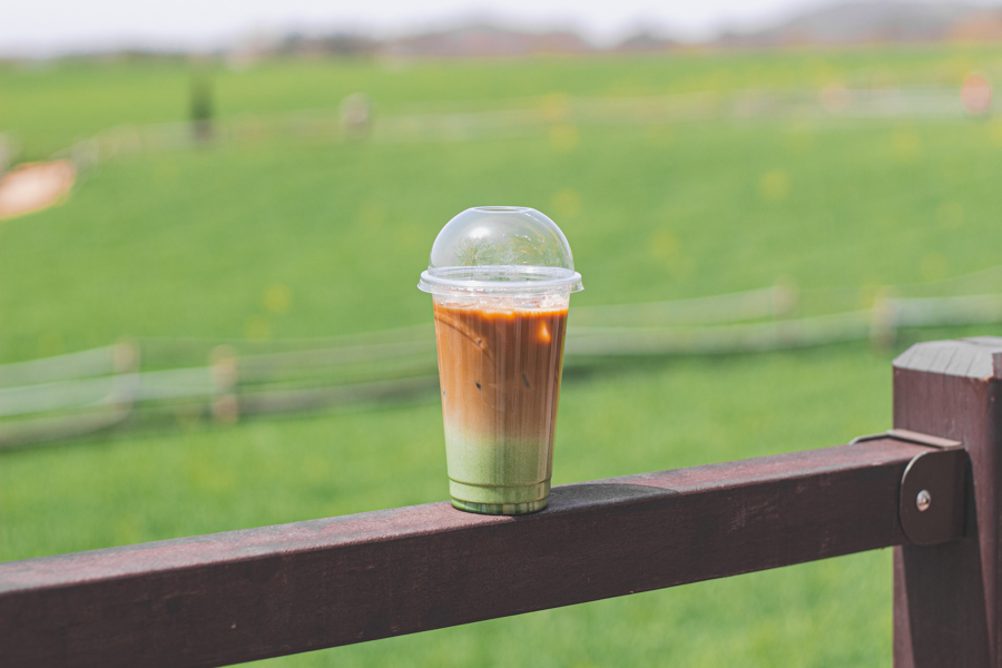 Sprouted Barley Latte