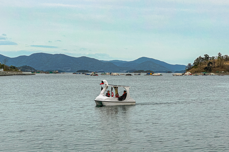 GO Club Yeosu Paddle Boat