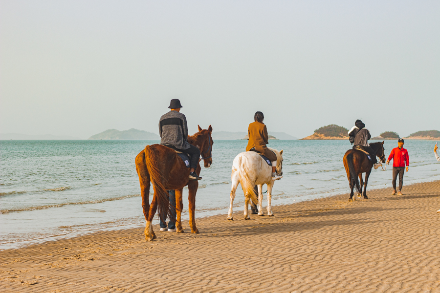 Horse Riding in Daegwang Beach