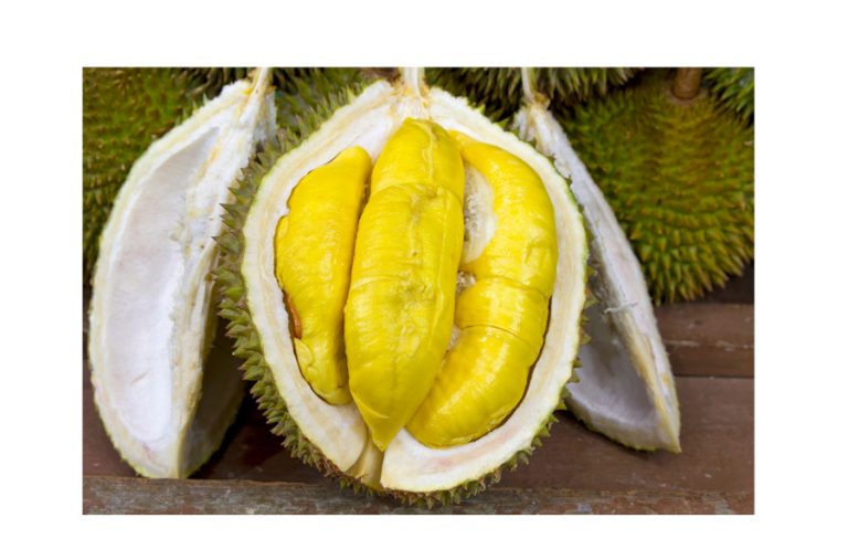 All-You-Can-Eat Durian Buffet With Jurong Point Durian Fiesta 2.0 ...