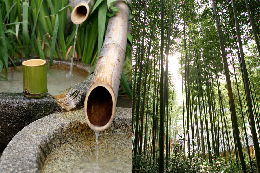 Damyang Bamboo Forest Festival