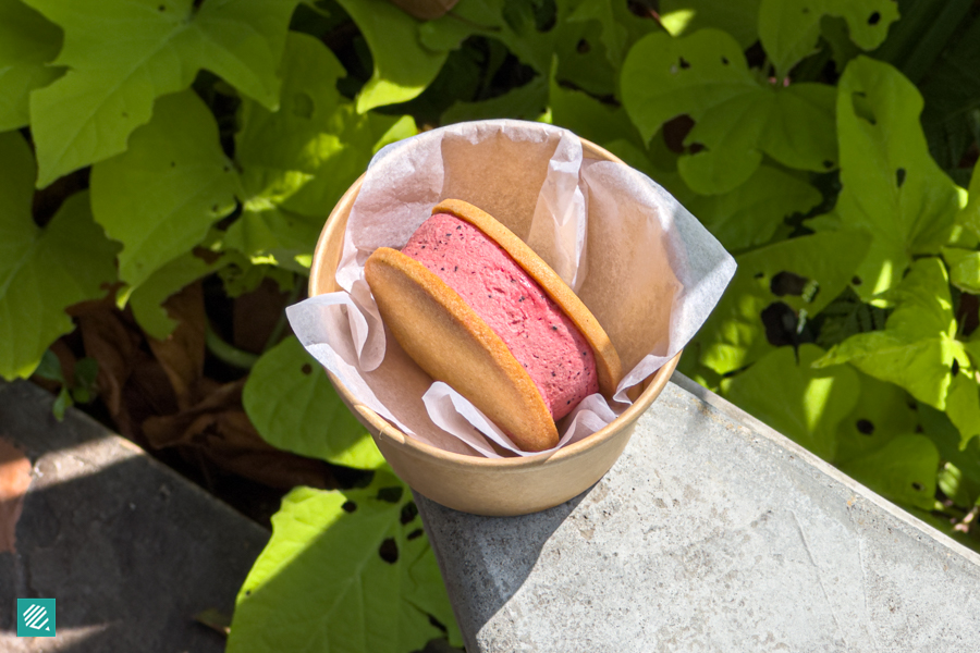 Ice Cream Cookie Sandwich