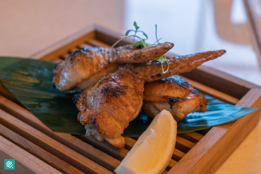 Ginkyo by Kinki - Truffle Fat Wings