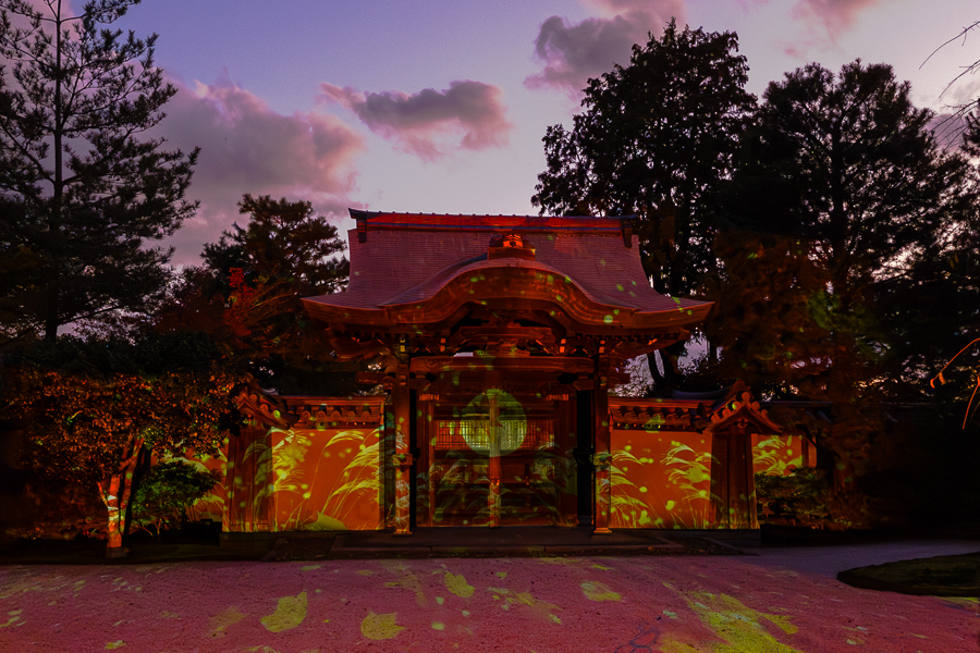 Kodaiji Temple Kyoto Night Illumination