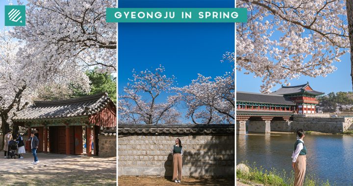 Gyeongju Spring Cover Photo