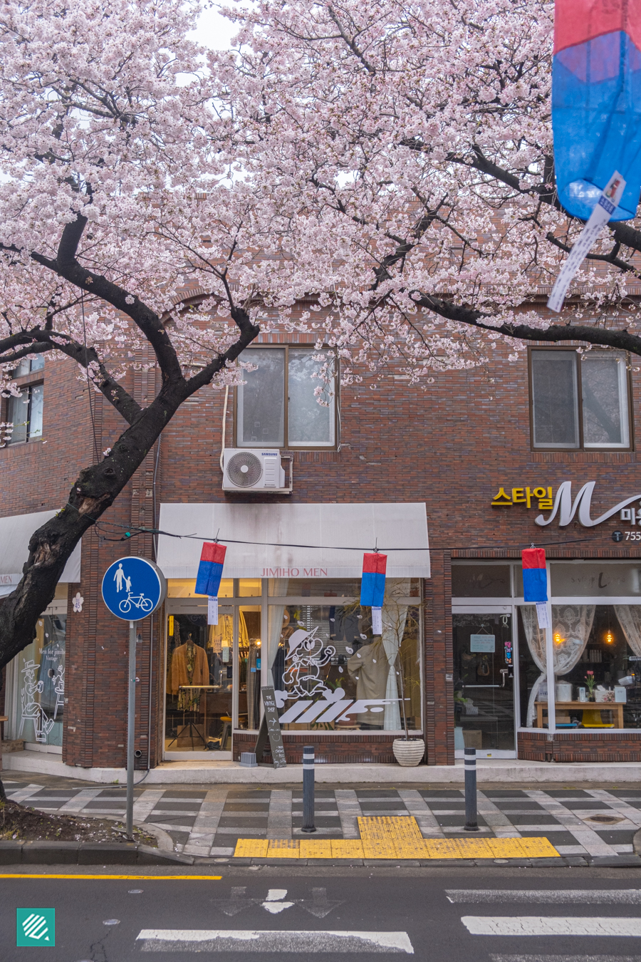 Jeonnong-ro Cherry Blossom Street
