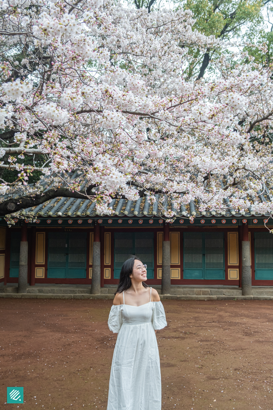 Cherry blossoms in Samseonghyeol