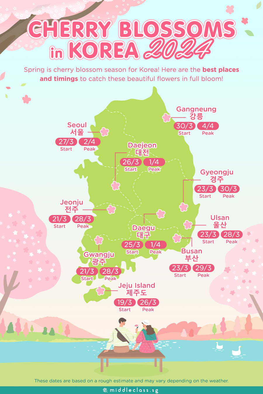 Cherry Blossom Korea forecast 2024 infographic