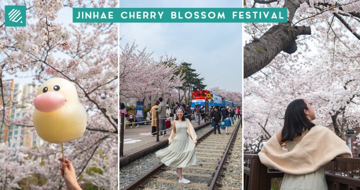Jinhae Cherry Blossom Festival-cover