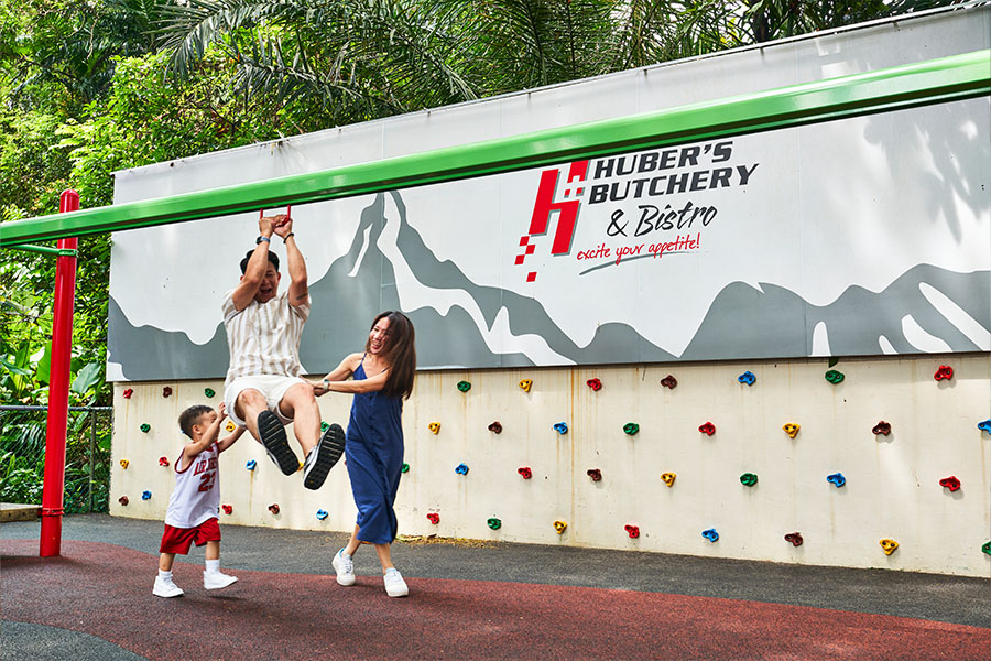 Playground's flyng fox and climbing wall