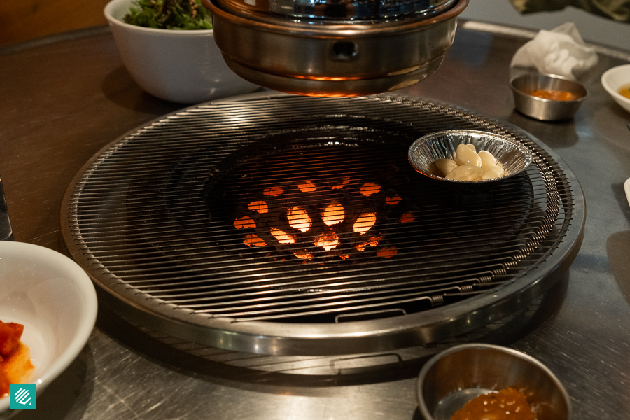 Charcoal Briquette Grill