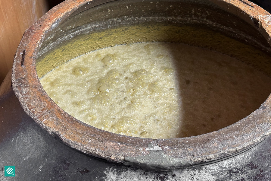 Fermentation of Makgeolli