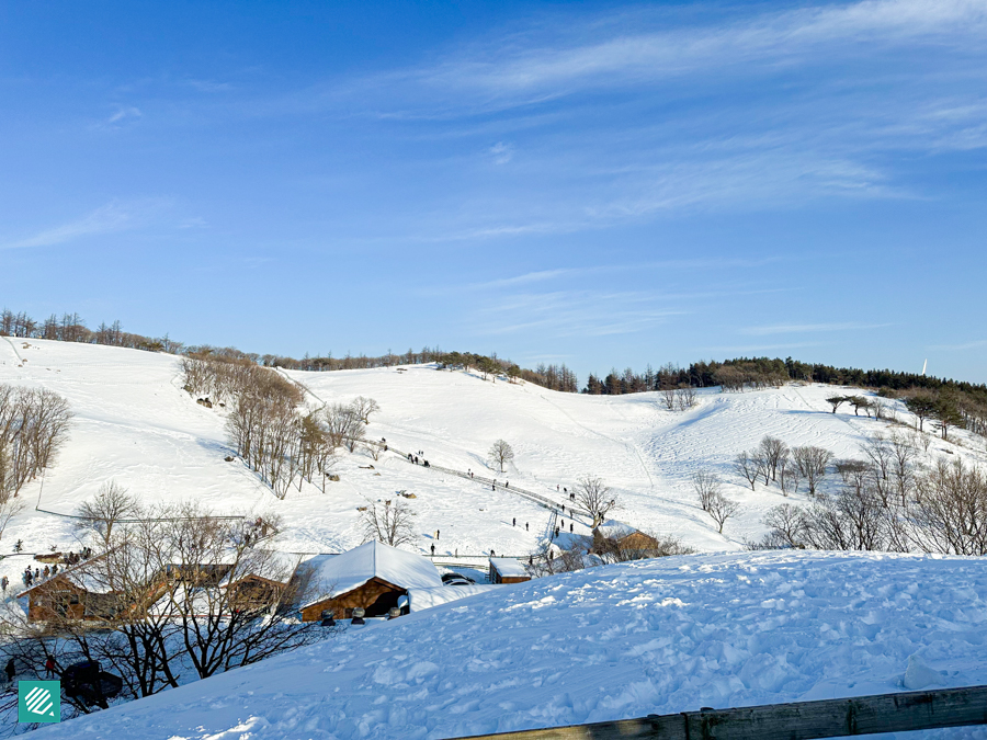 Snow at Daegwallyeong Samyang Farm in Gangwon-do, Korea