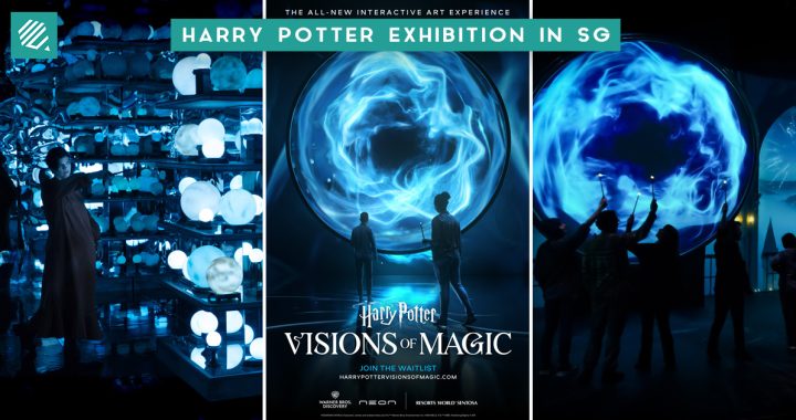 Harry Potter: Visions of Magic