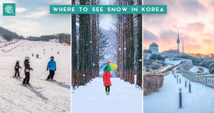 best spots to see snow-cover