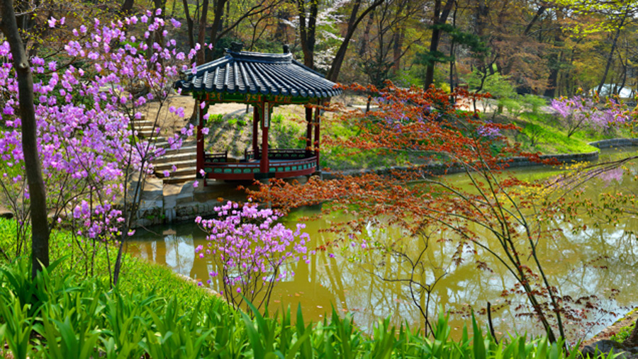 Must Visit Places In Seoul- Changdeokgung Palace and Huwon (Secret Garden) (2)