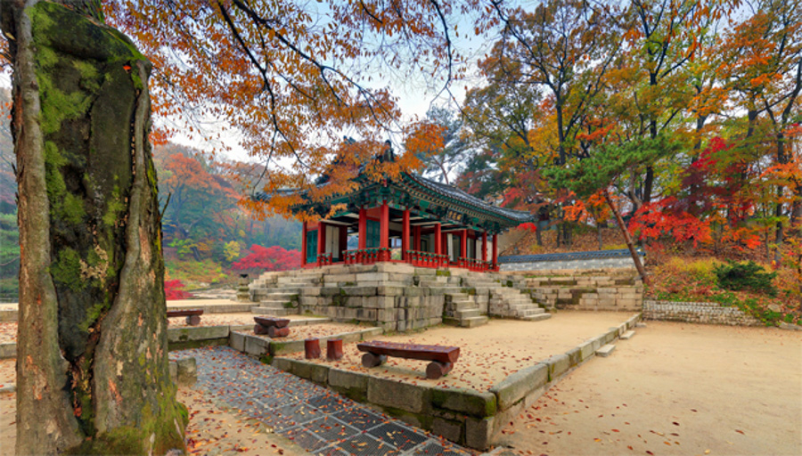 Must Visit Places In Seoul- Changdeokgung Palace and Huwon (Secret Garden)