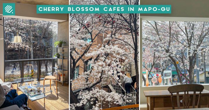 CHERRY BLOSSOM CAFES-COVER