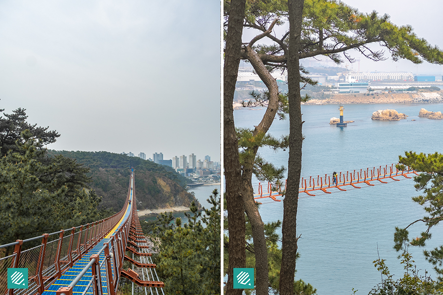 Daewangam Park Suspension Bridge