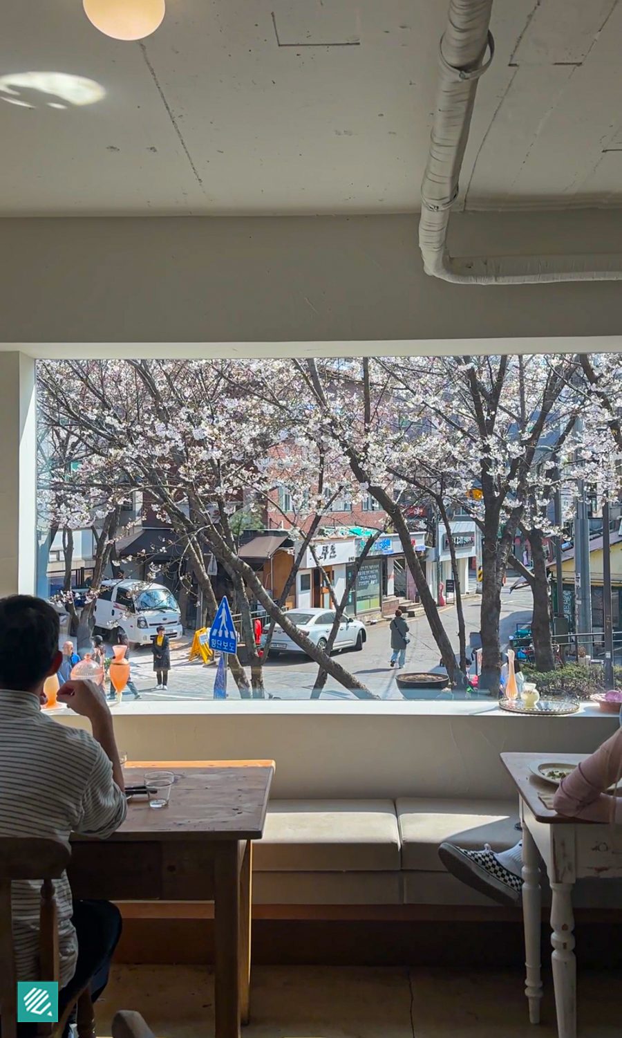 Cherry blossoms at dearmoment cafe in Seoul