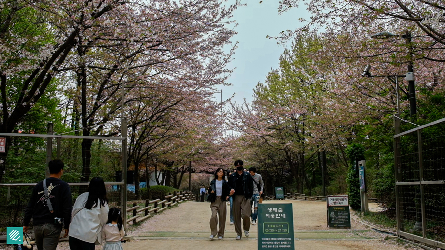 Seoul Forest Park