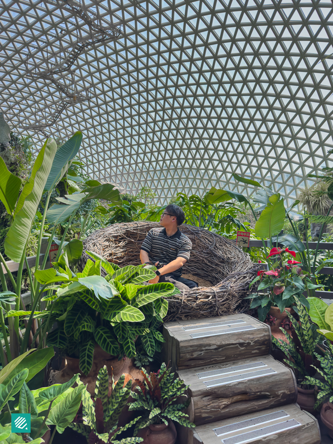 Geoje Botanic Garden Photo Spot