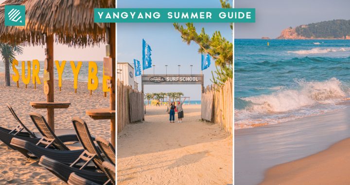 yangyang-cover