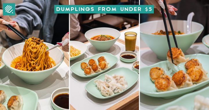 LE MA DUMPLING-COVER