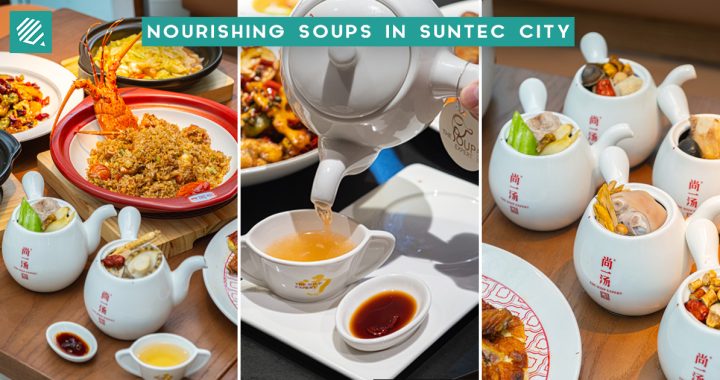 THE SOUP EXPERT-COVER