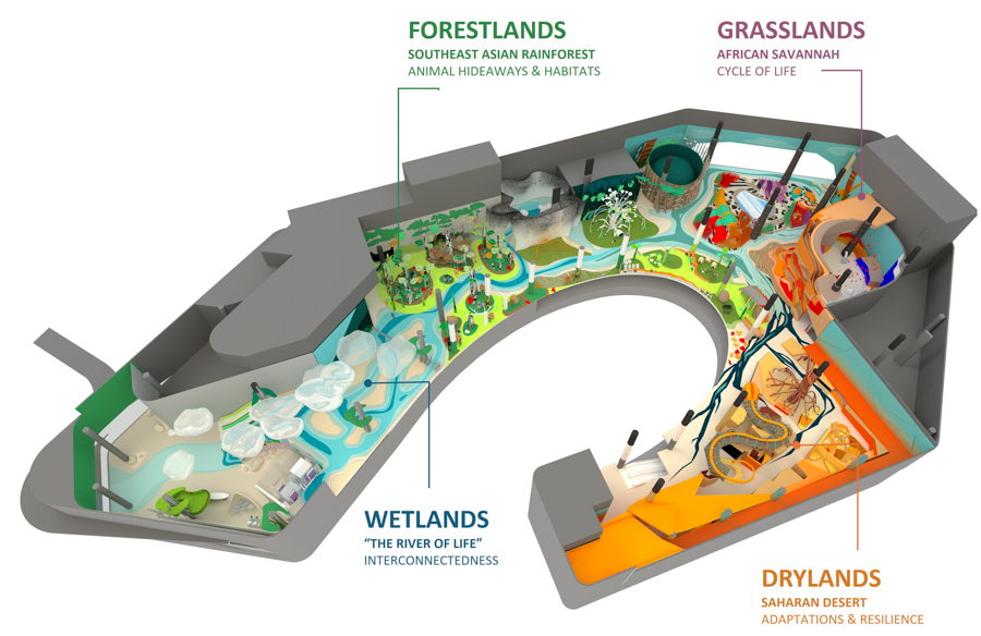 Curiosity Cove Layout