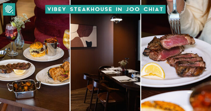 the velvet cut-cover