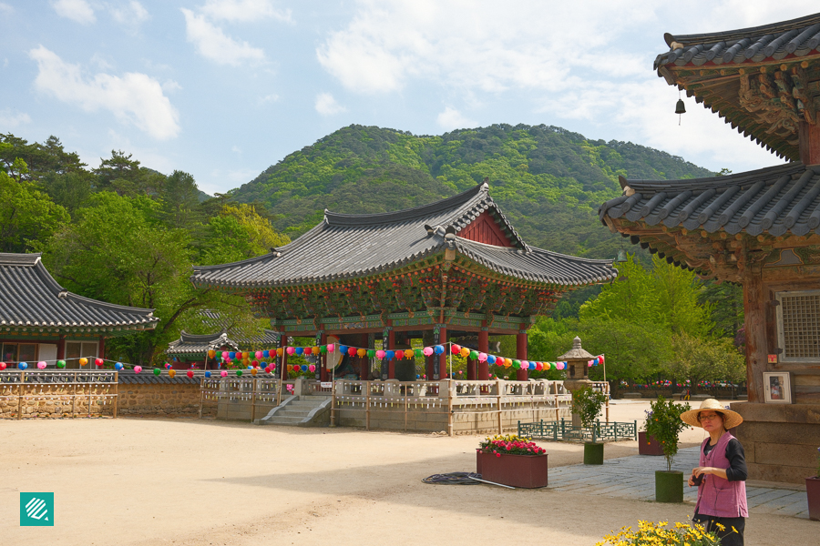 Beopjusa Temple in Boeun